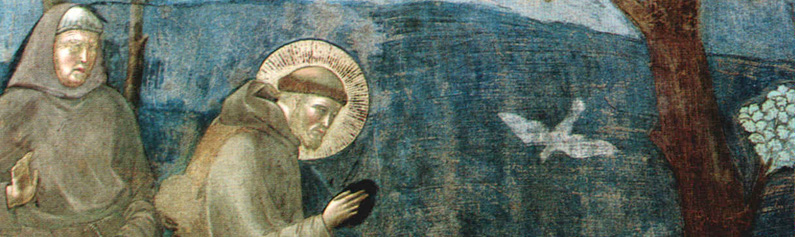 sanfrancesco